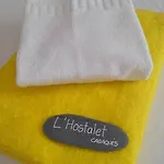 Auberge de jeunesse L'hostalet De *